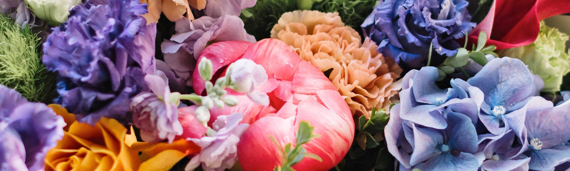 Danvers Florist Same Day Flower Delivery Danvers Currans Flowers