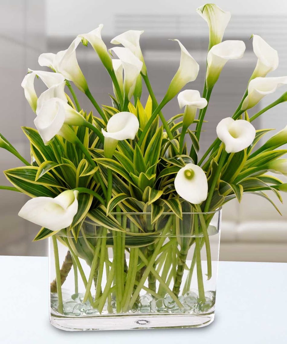 Calla Lily Beauty