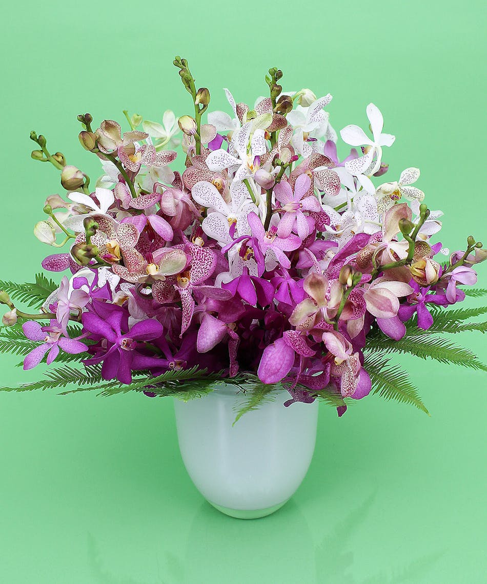 Bountiful Orchid Vase - Same-day Delivery to Danvers, MA - Currans Flowers