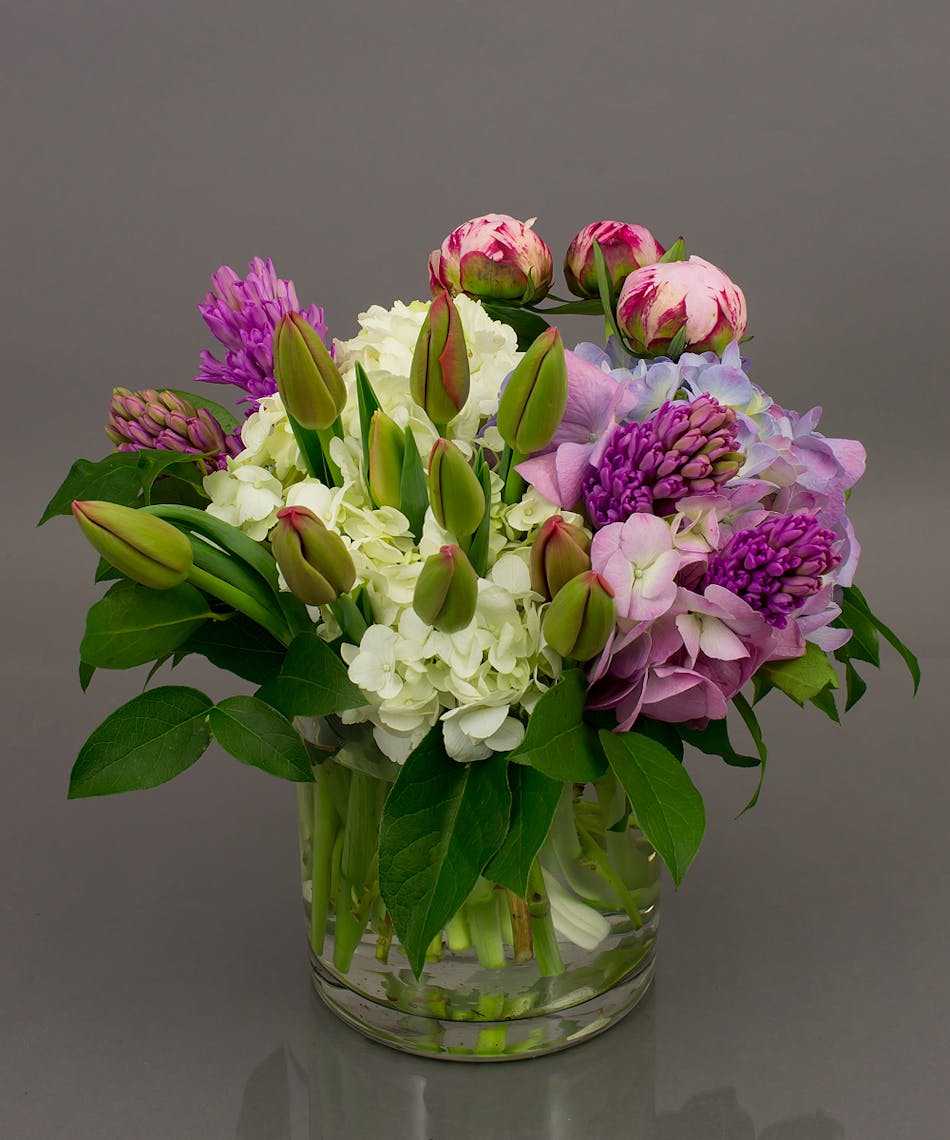 We selected the perfect combination of our own Currans grown tulips, fragrant hyacinth, delicate peonies, and always popular hydrangea to compose this piece. 