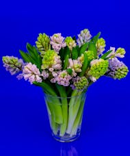 Dutch Hyacinth Vase