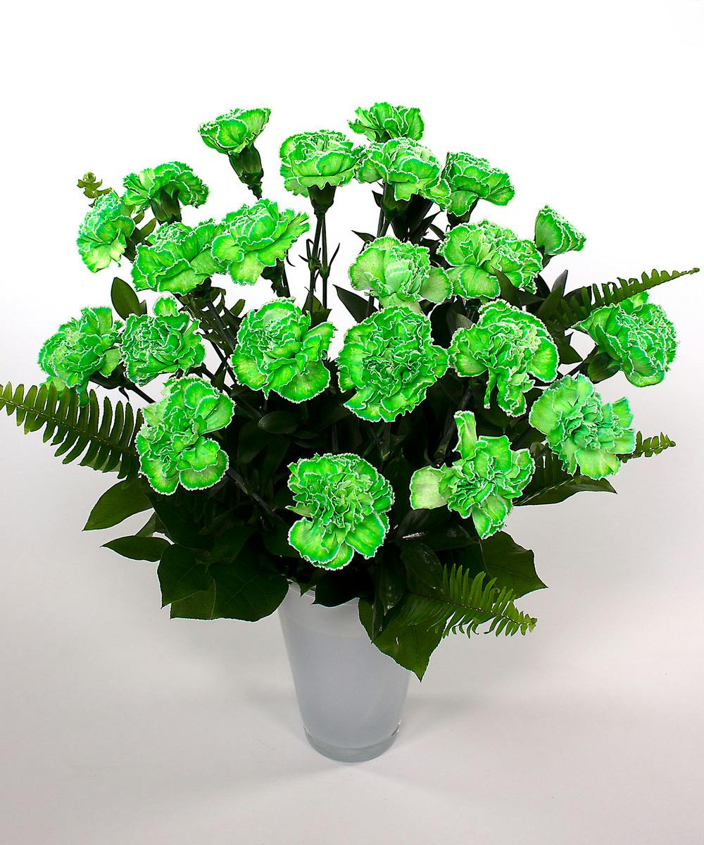 St. Patrick's Day Carnations Same Day Delivery Danvers, MA Currans Flowers