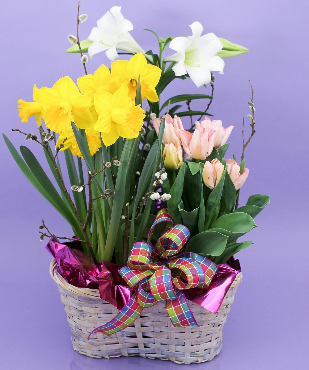 Easter Bulb Basket Same day delivery, Danvers, MA Currans Flowers