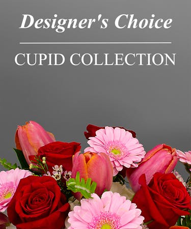 Cupid Collection - Designers Choice