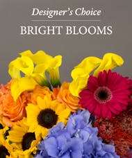 Bright Blooms - Designers Choice