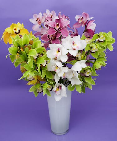 Lush Cymbidium Vase Same Day Delivery Danvers Ma Currans Flowers