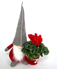 Jolly Gnome Planter
