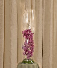 Pink Cymbidium Elegance Vase