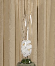 White Cut Phalaenopsis Elegance Vase