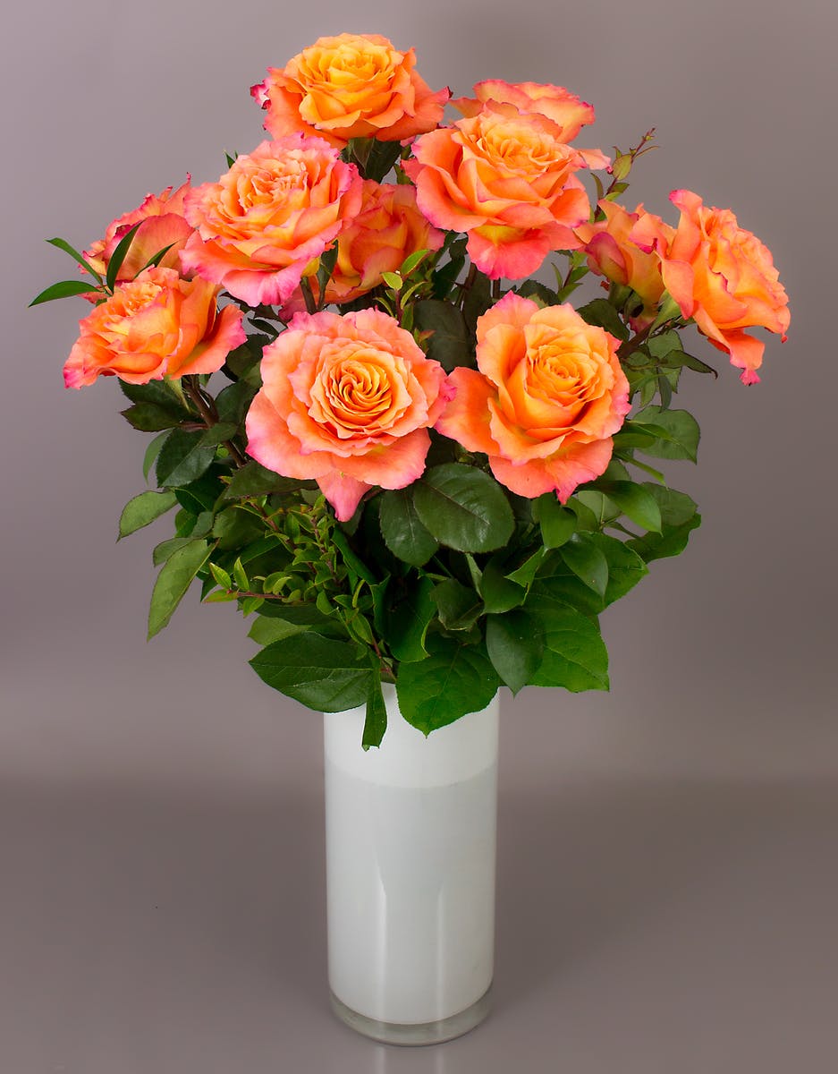 Long Stemmed Orange Roses Same day delivery, Danvers, MA Currans