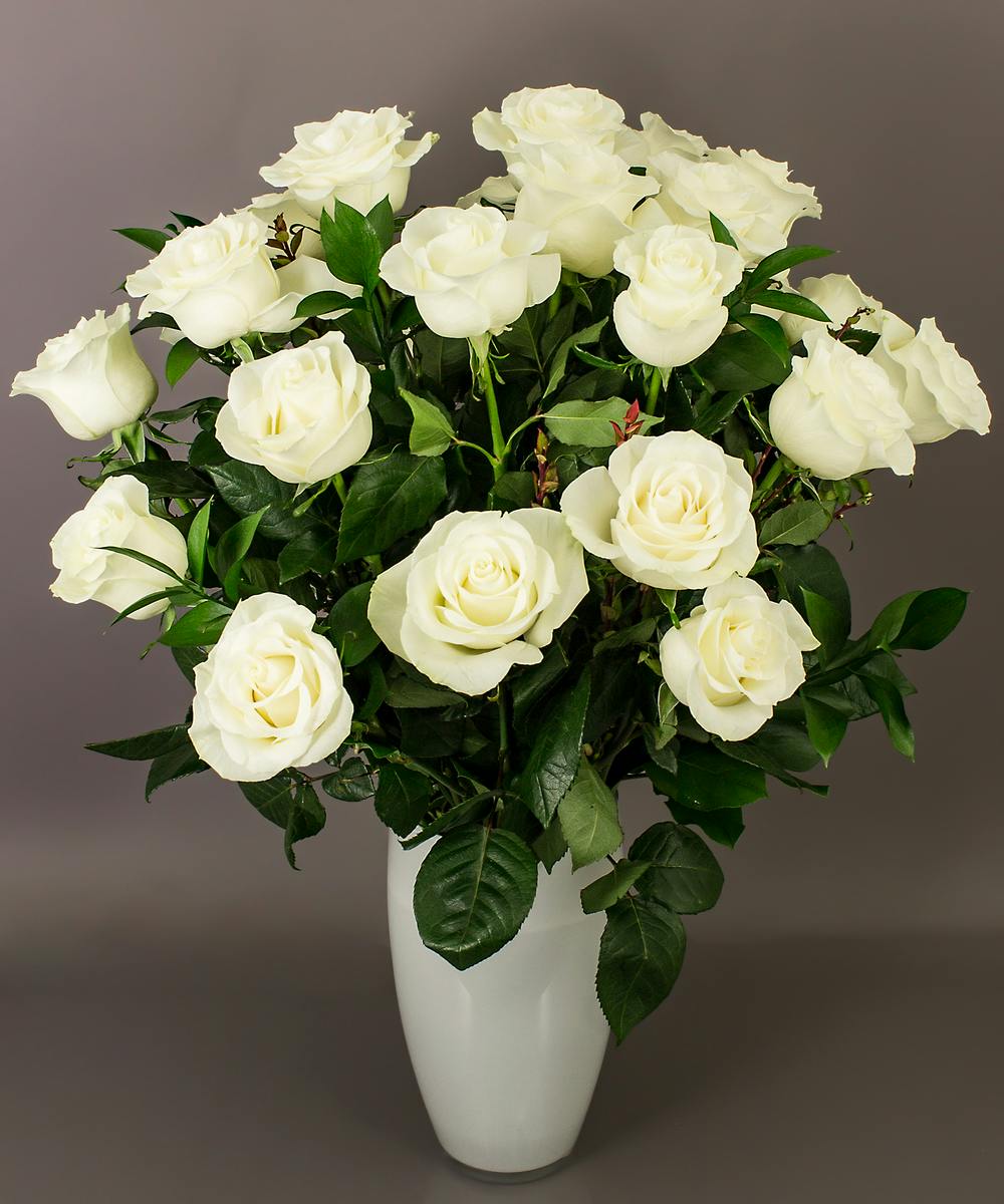 Long Stemmed White Roses Danvers, MA Currans Flowers