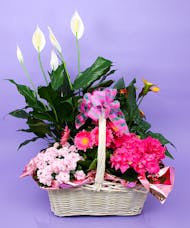 Mother's Day Indoor Plant Basket