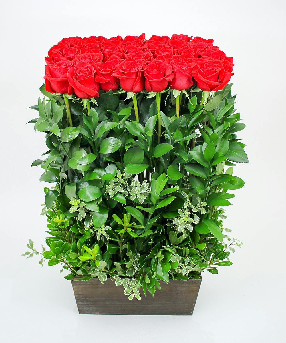 Rose Hedge Arrangement Currans Flowers Danvers & Beverly, MA