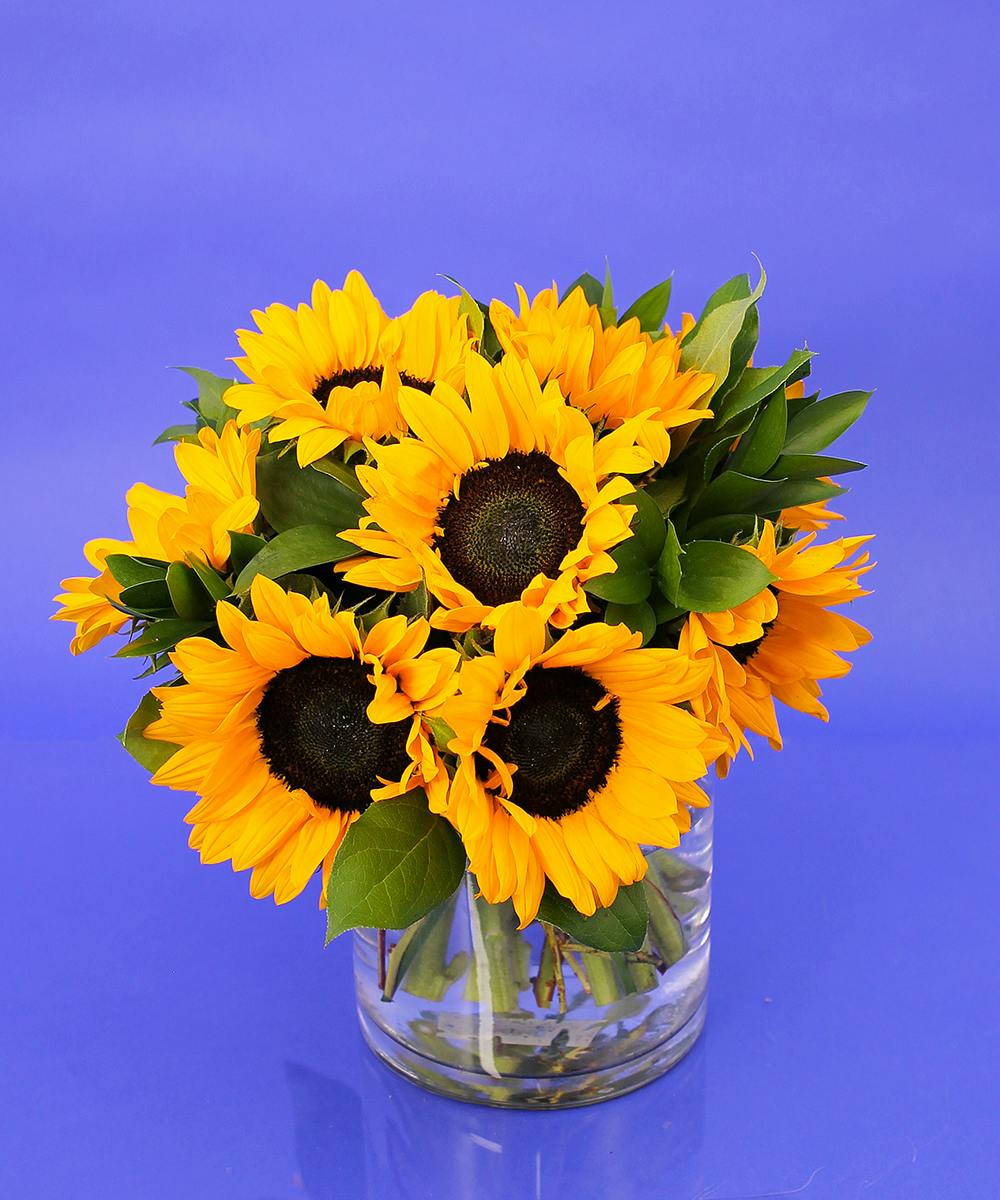 Sunflower Vase Currans Flowers