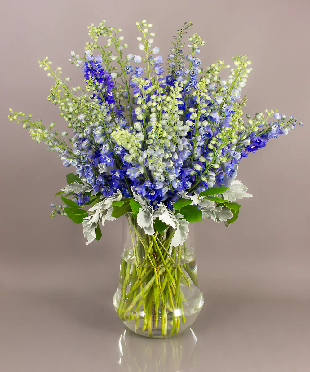 Azule - Same day delivery, Danvers, MA - Currans Flowers