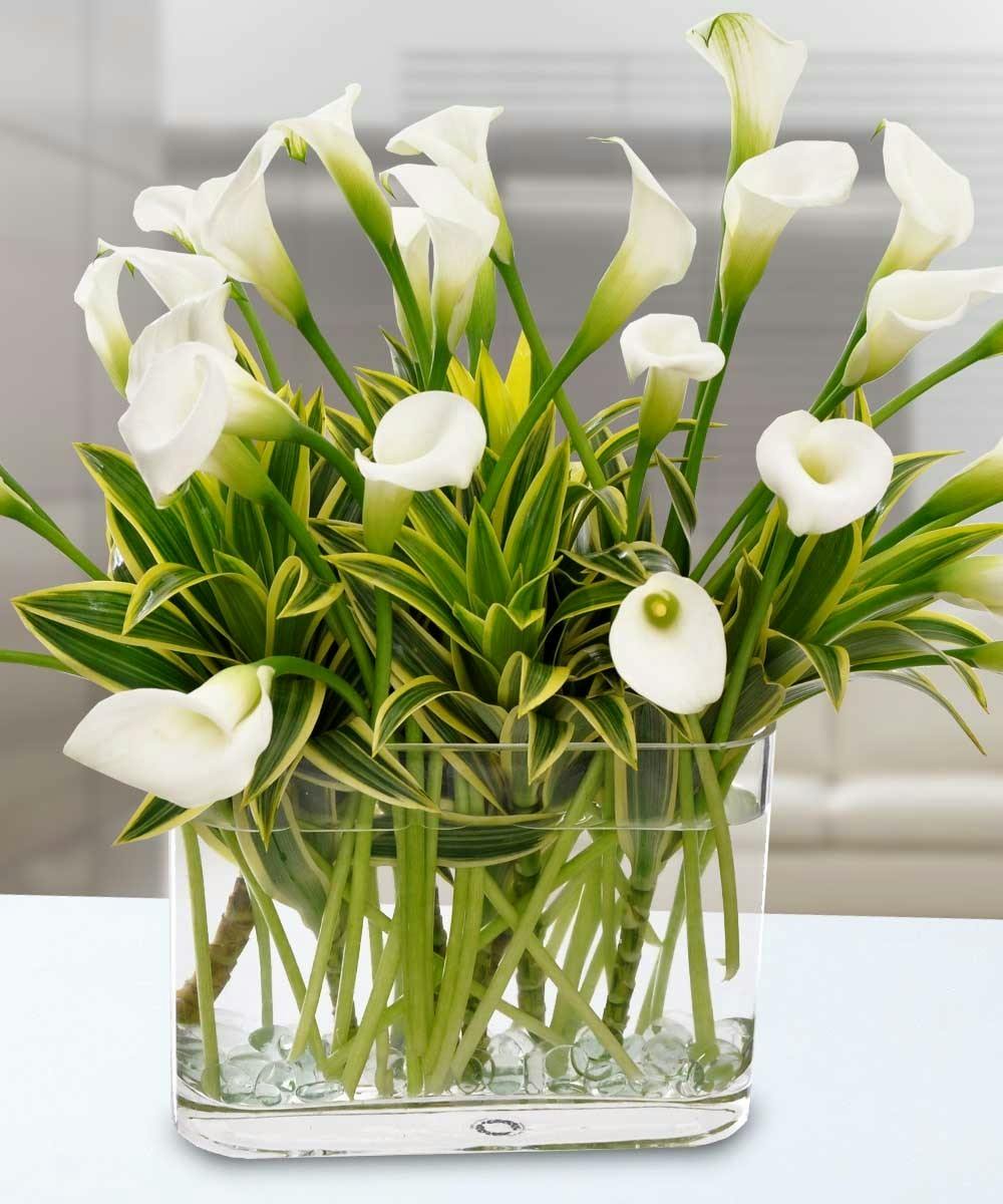 Calla Lily Beauty Same Day Lily Delivery Danvers Nationwide
