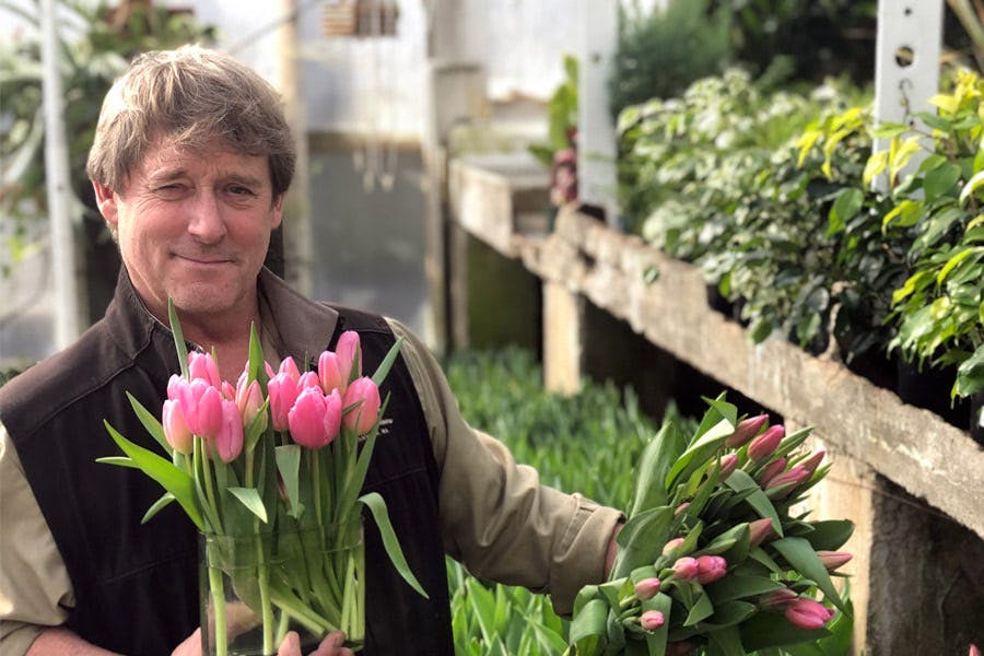 Why Shop Local Danvers (MA) Flowers, Plants, & Gifts Currans Florist