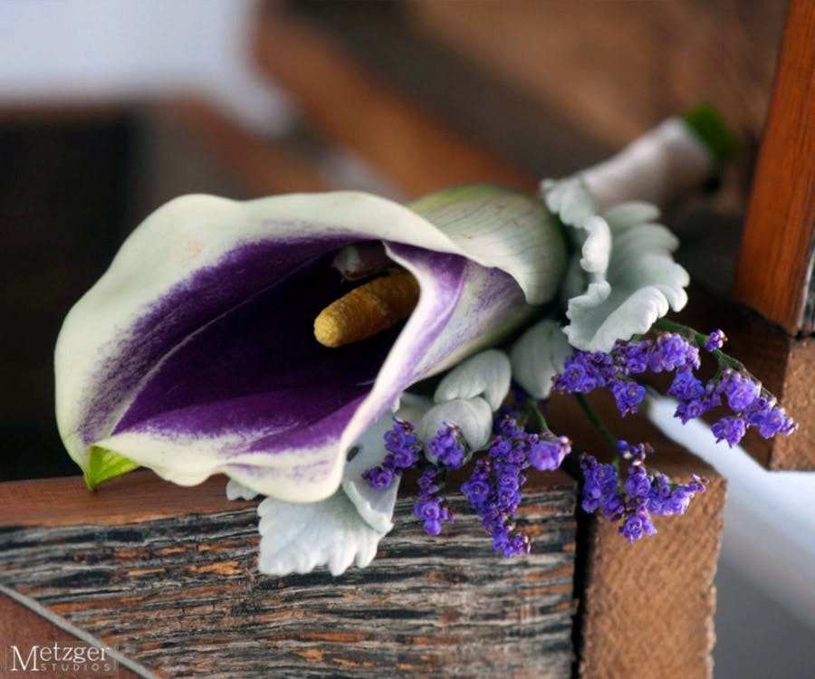 Currans Flowers Flowers, Plants & Gift Delivery Danvers, MA